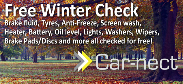 Free Winter Car Check